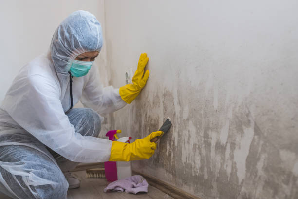 Water Damage Restoration in North Lima, OH