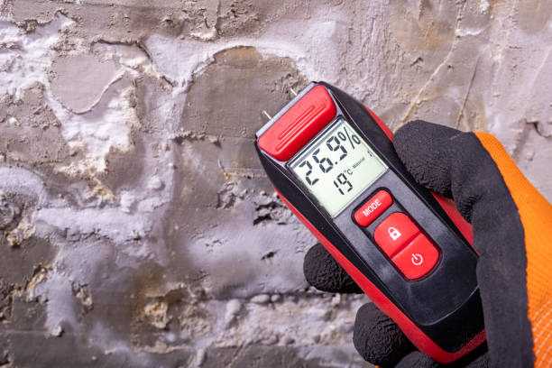 Best Mold Cleaning Services  in North Lima, OH
