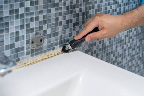 Best Mold Testing and Removal  in North Lima, OH