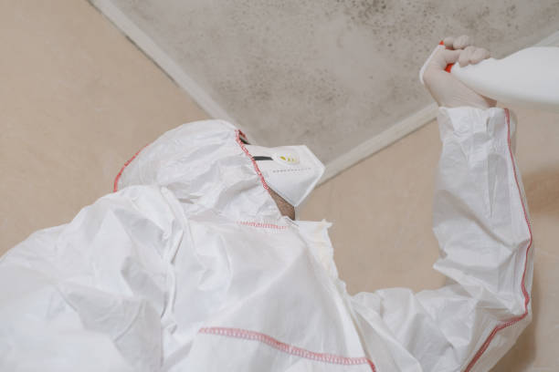 Best Toxic Mold Removal  in North Lima, OH